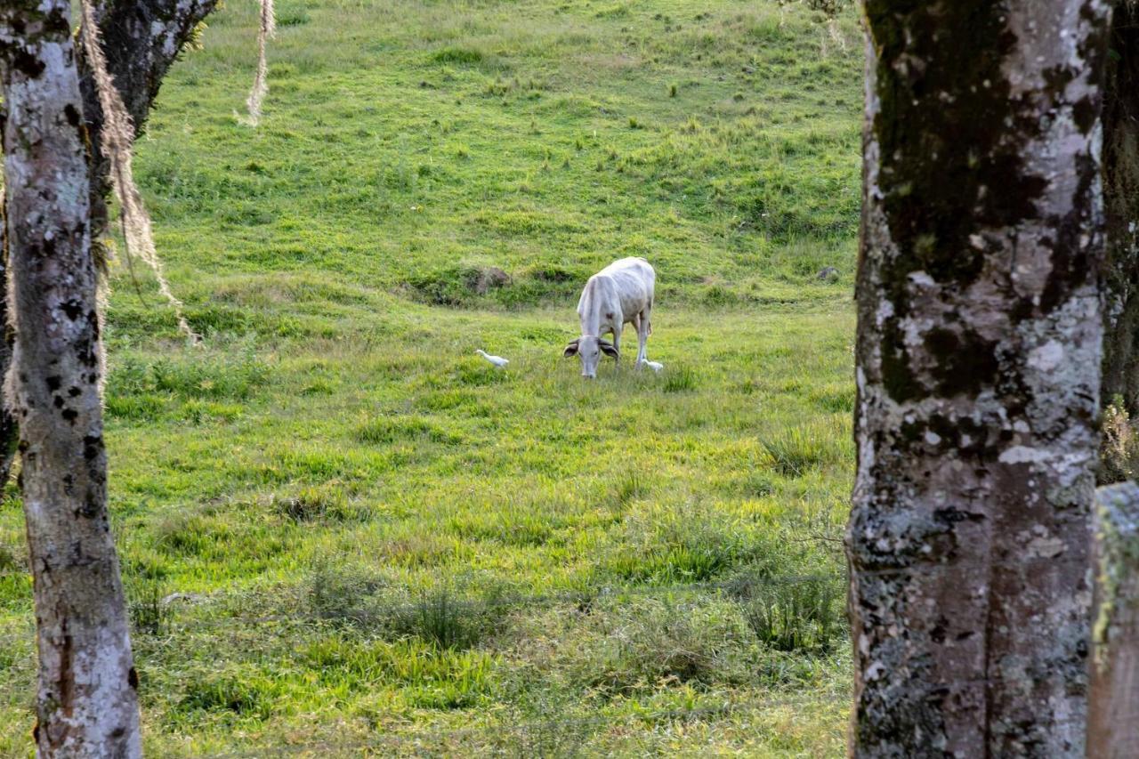 Locar-In Gramado - Chacara Bela Vista Villa Kültér fotó